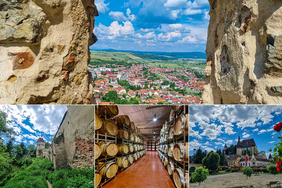Vacanțe și tururi 2024 | Carpații și vinul din România